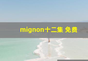 mignon十二集 免费